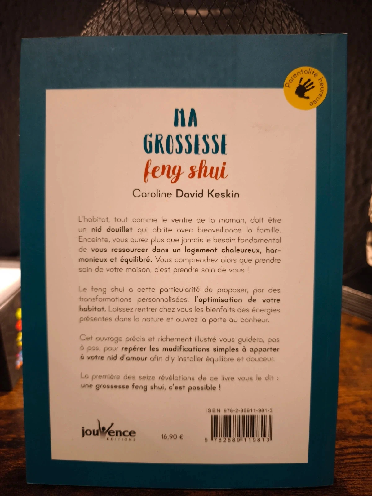 Mi embarazo feng shui – photo 2